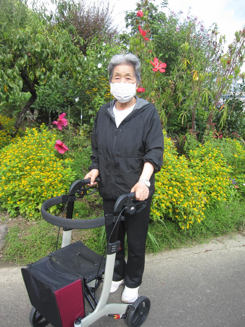 ���n�r���̗l�q