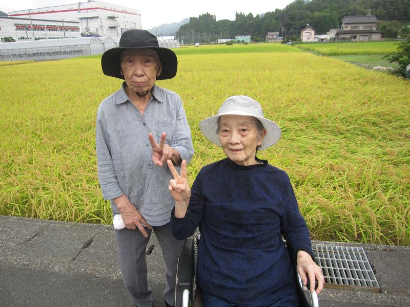 ���n�r���̗l�q