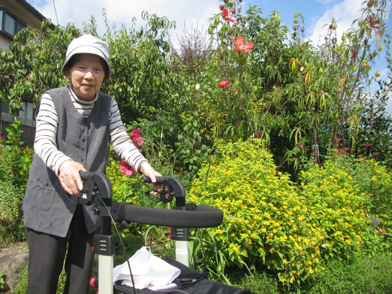 ���n�r���̗l�q